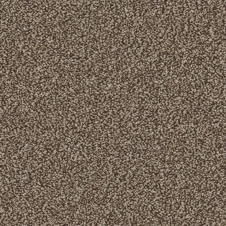Cormar Linwood Carpet Exen Flooring