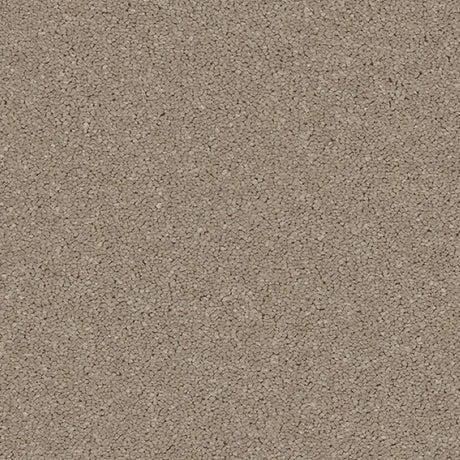 Cormar Linwood Carpet Exen Flooring
