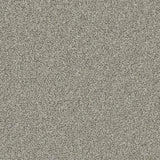 Cormar Linwood Carpet Exen Flooring