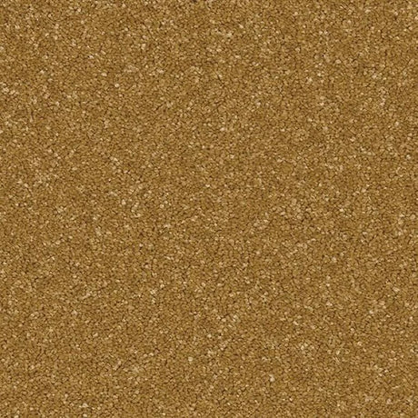 Cormar Linwood Carpet Exen Flooring