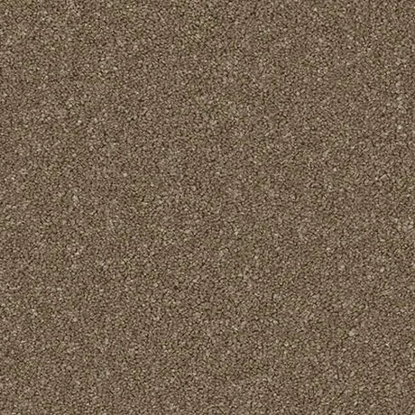 Cormar Linwood Carpet Exen Flooring