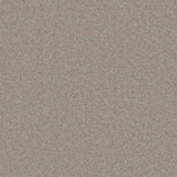 Cormar Pembroke Carpet Exen Flooring