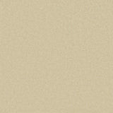 Cormar Pembroke Carpet Exen Flooring