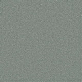 Cormar Pembroke Carpet Exen Flooring