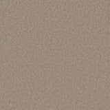 Cormar Pembroke Carpet Exen Flooring
