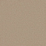 Cormar Pembroke Carpet Exen Flooring