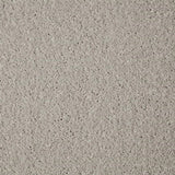 Cormar Primo Grande Carpet Exen Flooring