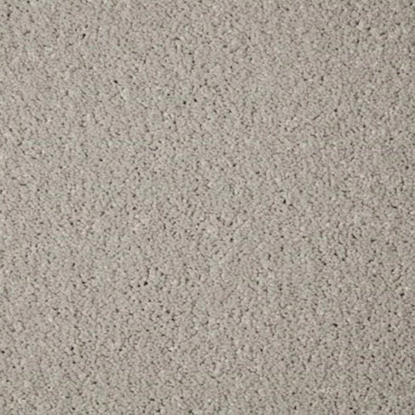 Cormar Primo Grande Carpet Exen Flooring