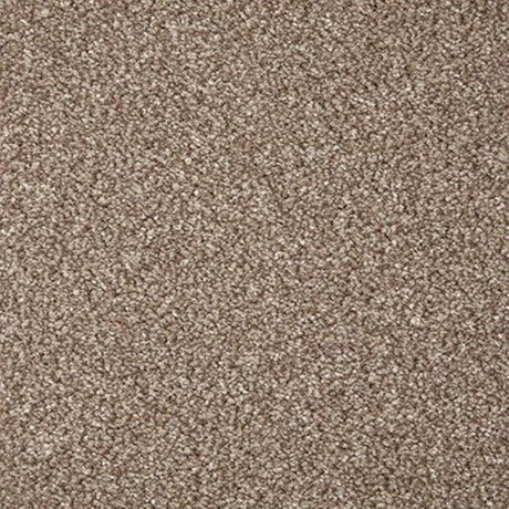 Cormar Primo Grande Carpet Exen Flooring