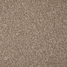 Cormar Primo Grande Carpet Exen Flooring