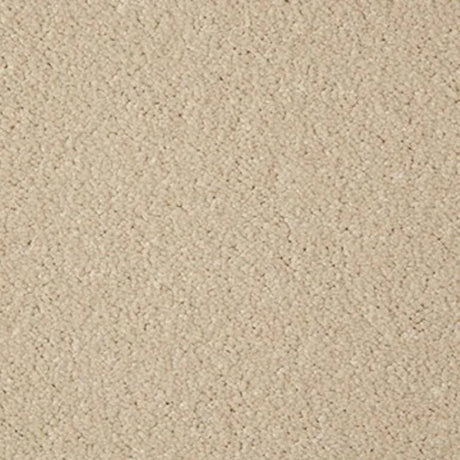 Cormar Primo Grande Carpet Exen Flooring