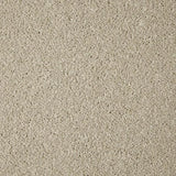 Cormar Primo Grande Carpet Exen Flooring