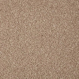 Cormar Primo Grande Carpet Exen Flooring
