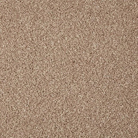 Cormar Primo Grande Carpet Exen Flooring