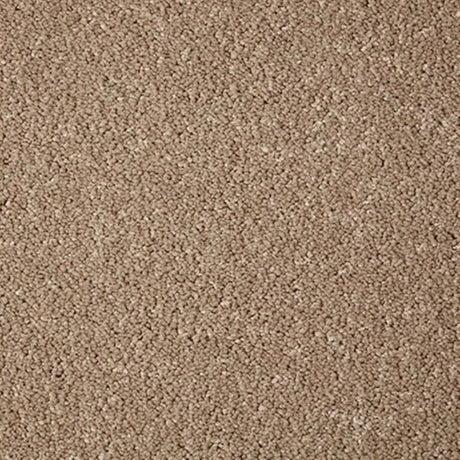 Cormar Primo Grande Carpet Exen Flooring