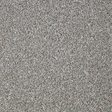 Cormar Primo Grande Carpet Exen Flooring