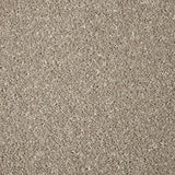 Cormar Primo Grande Carpet Exen Flooring