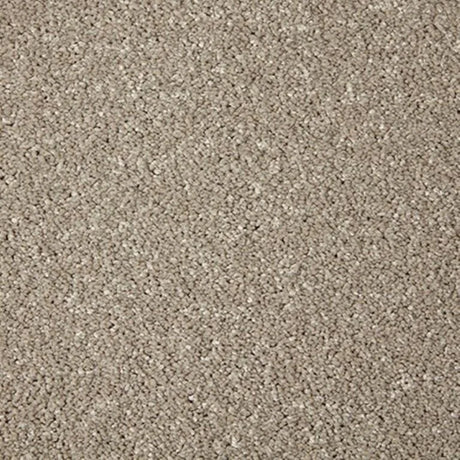 Cormar Primo Grande Carpet Exen Flooring