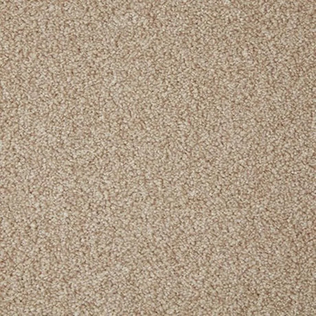 Cormar Primo Grande Carpet Exen Flooring