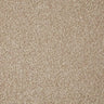 Cormar Primo Grande Carpet Exen Flooring