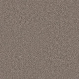 Cormar Primo Naturals Carpet Exen Flooring