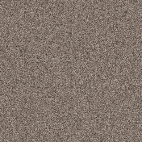 Cormar Primo Naturals Carpet Exen Flooring