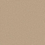 Cormar Primo Naturals Carpet Exen Flooring