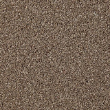 Cormar Primo Naturals Carpet Exen Flooring