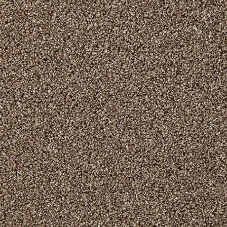 Cormar Primo Naturals Carpet Exen Flooring