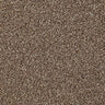 Cormar Primo Naturals Carpet Exen Flooring