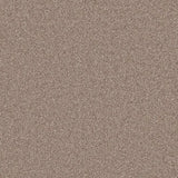 Cormar Primo Naturals Carpet Exen Flooring