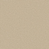 Cormar Primo Naturals Carpet Exen Flooring