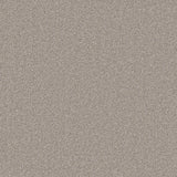 Cormar Primo Naturals Carpet Exen Flooring