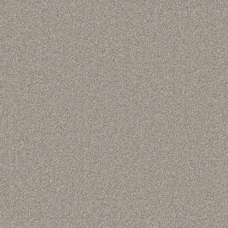 Cormar Primo Naturals Carpet Exen Flooring