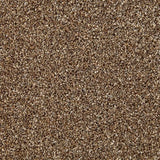 Cormar Primo Naturals Carpet Exen Flooring