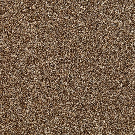 Cormar Primo Naturals Carpet Exen Flooring