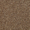 Cormar Primo Naturals Carpet Exen Flooring