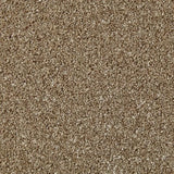 Cormar Primo Naturals Carpet Exen Flooring