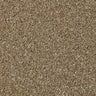 Cormar Primo Naturals Carpet Exen Flooring