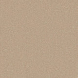 Cormar Primo Naturals Carpet Exen Flooring