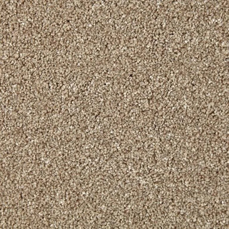 Cormar Primo Naturals Carpet Exen Flooring