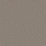 Cormar Primo Naturals Carpet Exen Flooring