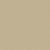 Cormar Primo Plus Carpet Exen Flooring