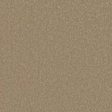 Cormar Primo Plus Carpet Exen Flooring