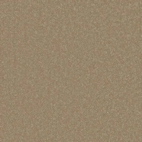 Cormar Primo Plus Carpet Exen Flooring