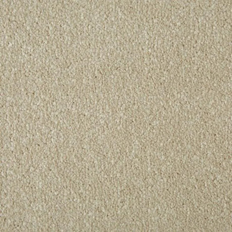 Cormar Primo Plus Carpet Exen Flooring