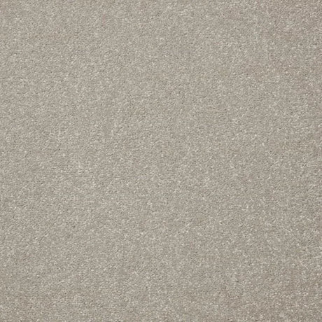 Cormar Primo Plus Carpet Exen Flooring