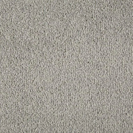 Cormar Primo Plus Carpet Exen Flooring