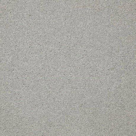 Cormar Primo Plus Carpet Exen Flooring