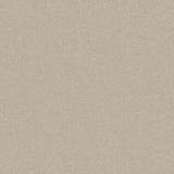 Cormar Primo Plus Carpet Exen Flooring